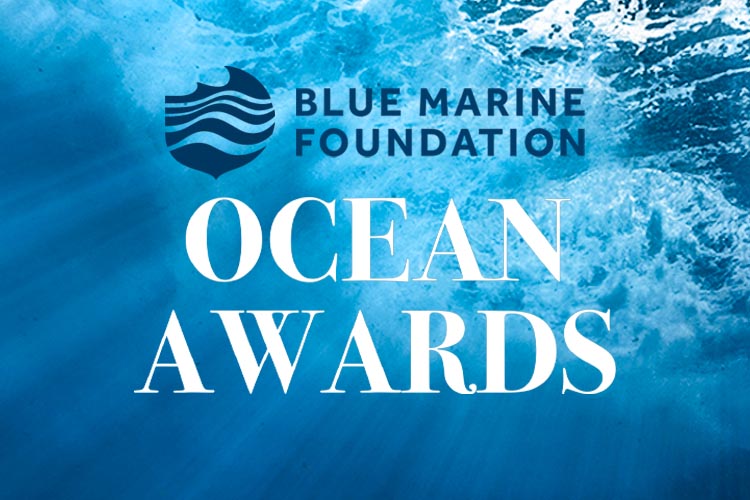 Graphic of Ocean Awards from the Blue Marine Foundation with image of water and logo
