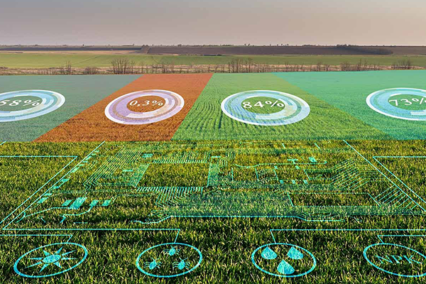 From up on High: A View from Space for a Future for Small Farms